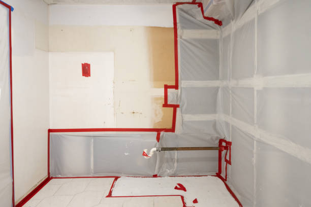 Best Commercial Mold Inspection  in Valley Stream, NY